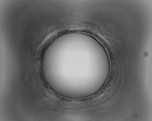 X0000095891351200801110819