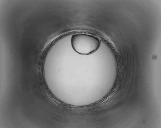 X0000095891352200801110819