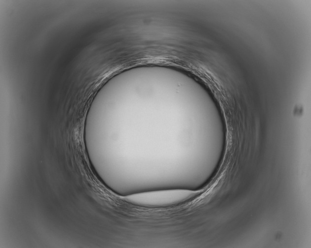 X0000095891353200801110819