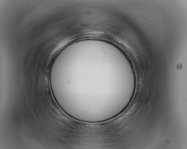 X0000095891354200801110819