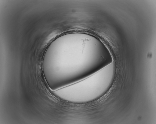 X0000095891355200801110819