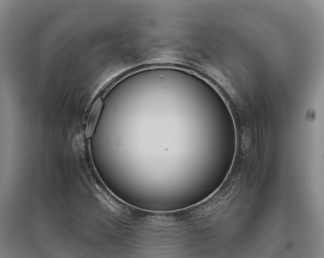 X0000095891356200801110819