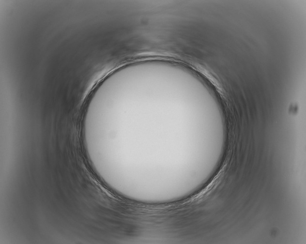 X0000095891357200801110819