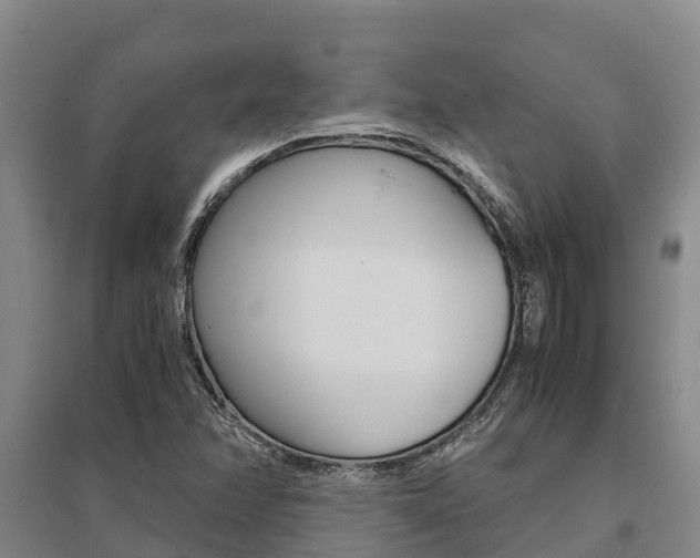 X0000095891358200801110819
