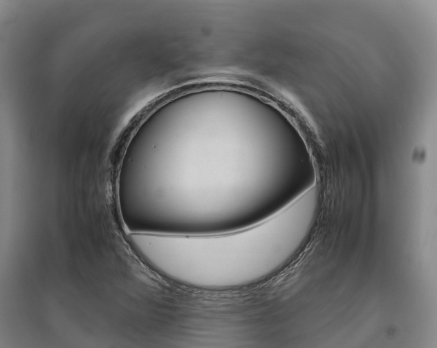 X0000095891360200801110819