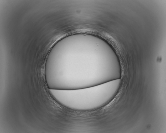 X0000095891361200801110819