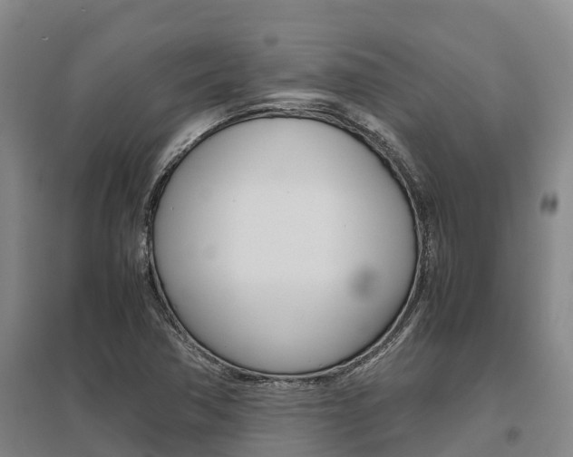 X0000095891362200801110819