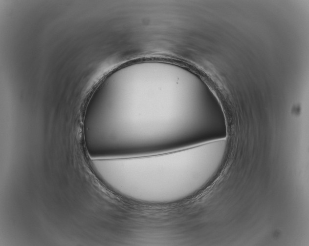 X0000095891363200801110819