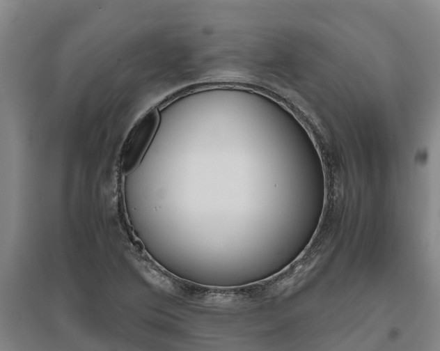 X0000095891364200801110818