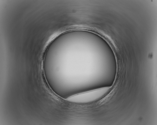 X0000095891365200801110818