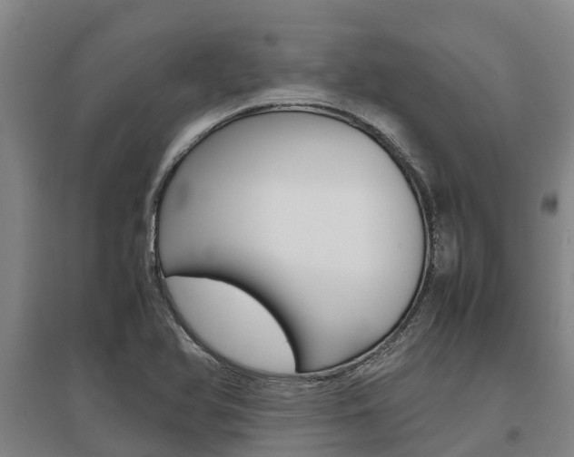 X0000095891366200801110818