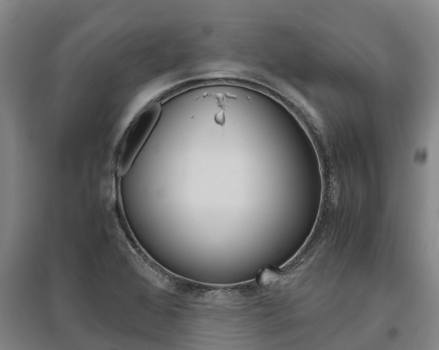 X0000095891368200801110818