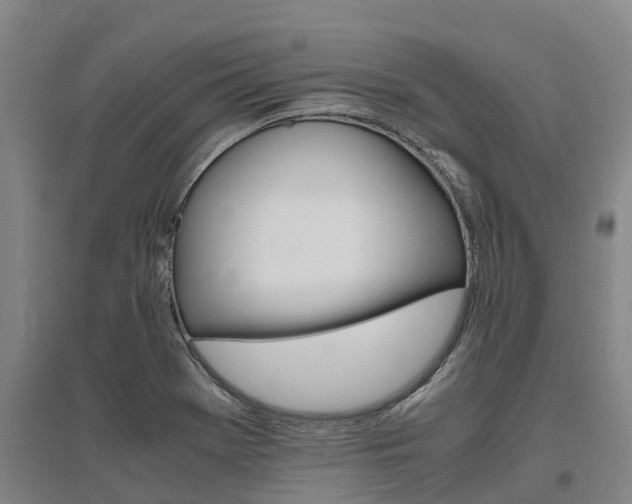 X0000095891369200801110818