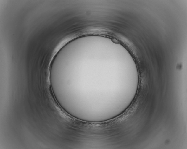 X0000095891370200801110818