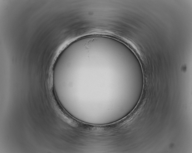 X0000095891371200801110818