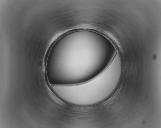 X0000095891372200801110818