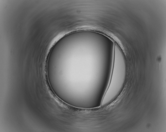 X0000095891373200801110818