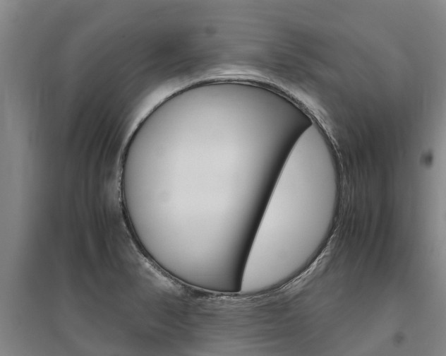 X0000095891374200801110818