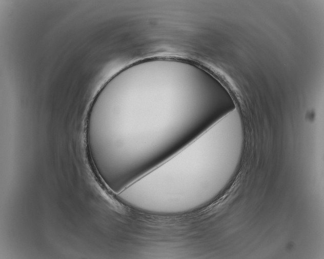 X0000095891375200801110818