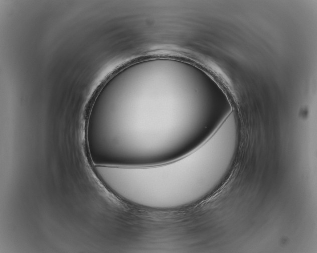 X0000095891376200801110818