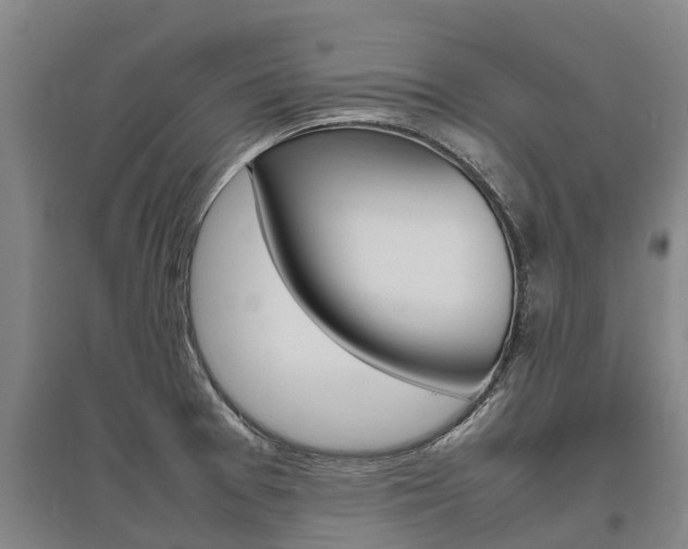 X0000095891377200801110818