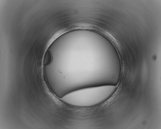 X0000095891378200801110818