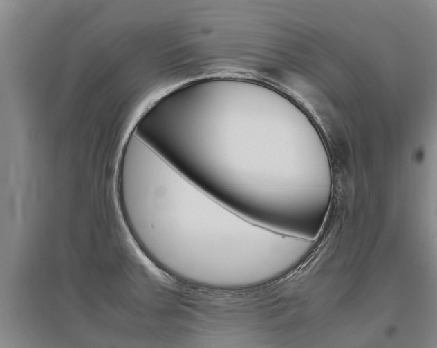 X0000095891379200801110818