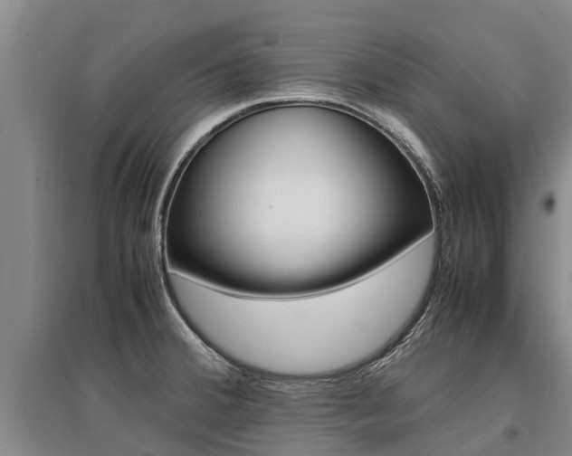 X0000095891380200801110818