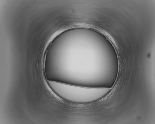 X0000095891381200801110818