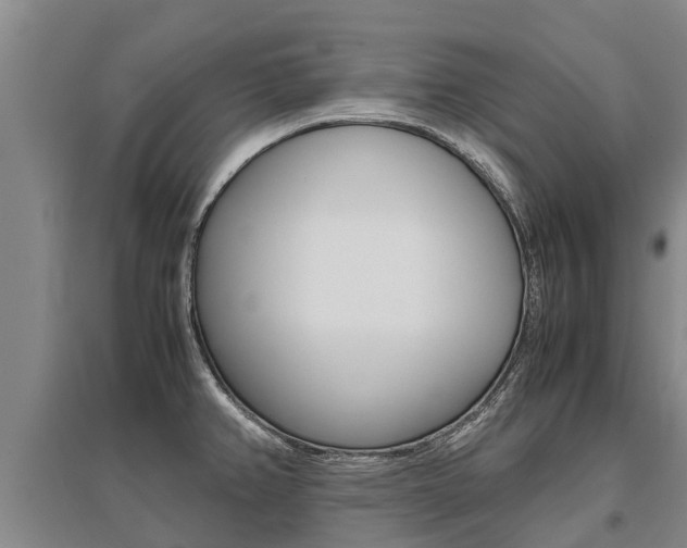 X0000095891382200801110818
