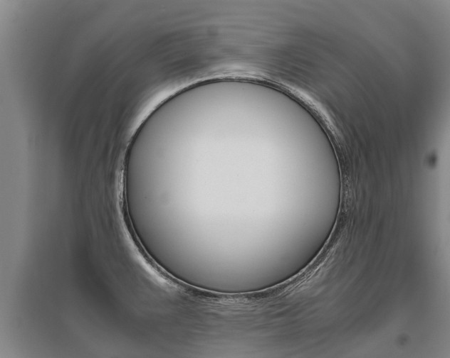 X0000095891383200801110818