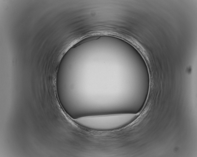 X0000095891385200801110818