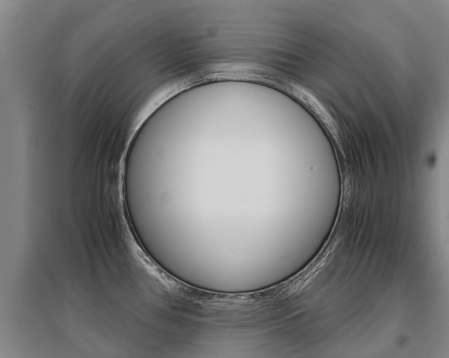 X0000095891386200801110818