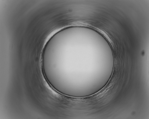 X0000095891387200801110818