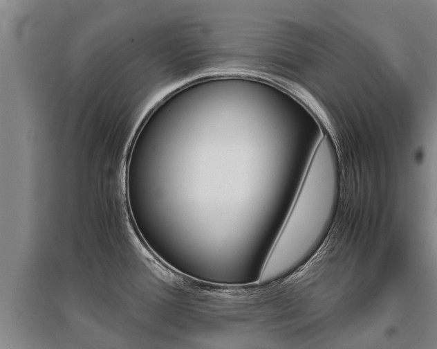 X0000095891388200801110818