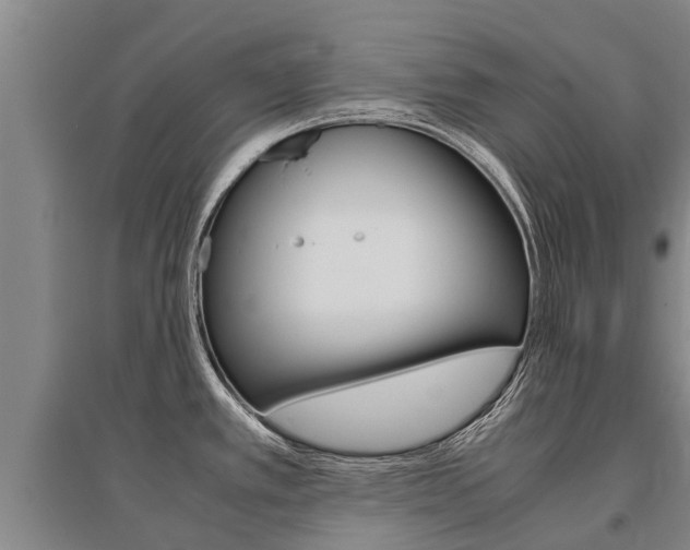 X0000095891389200801110818
