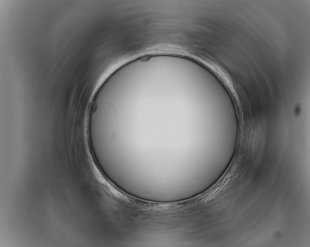 X0000095891390200801110818