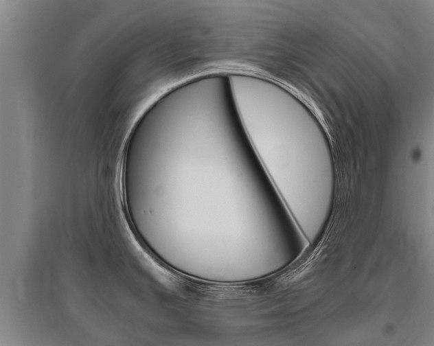 X0000095891391200801110818
