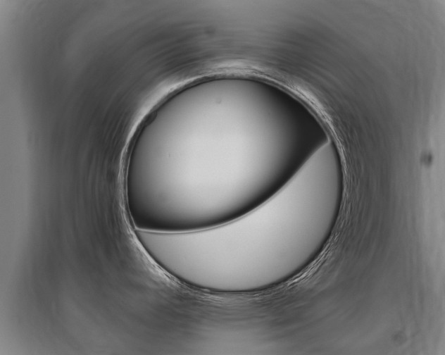 X0000095891392200801110818
