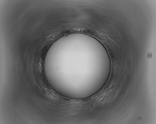 X0000095891394200801110817