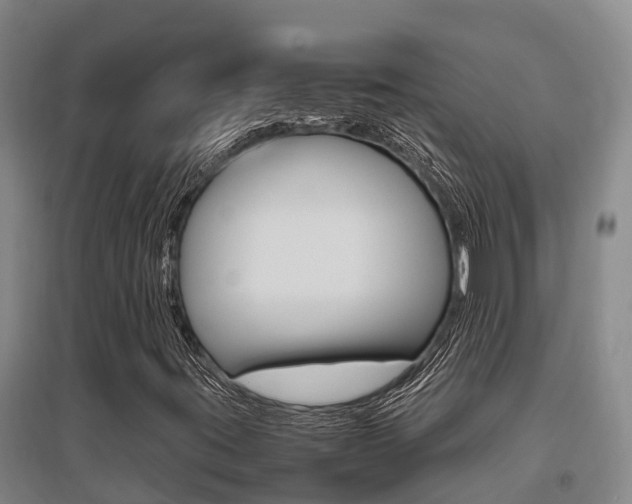 X0000095891395200801110817