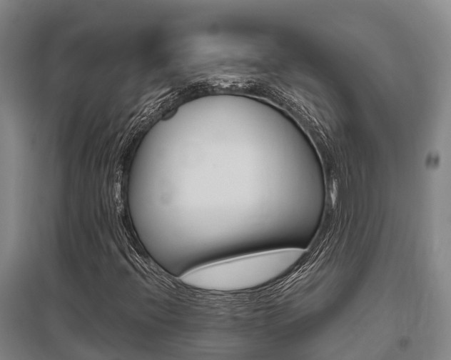 X0000095891396200801110817