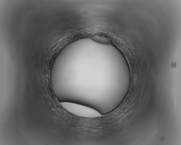 X0000095891397200801110818