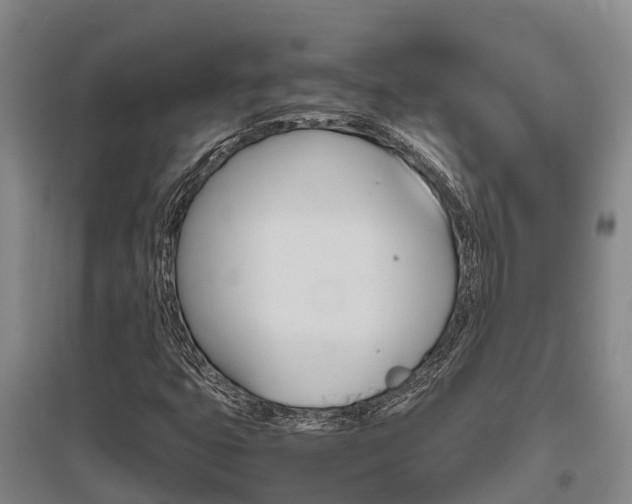 X0000095891399200801110818