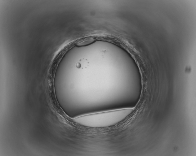 X0000095891400200801110818
