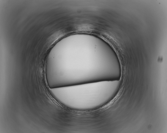 X0000095891401200801110818