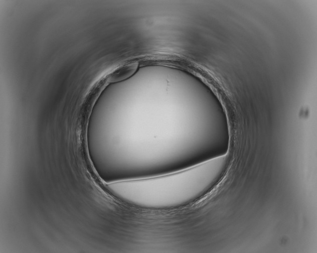 X0000095891402200801110818