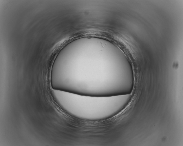 X0000095891403200801110818