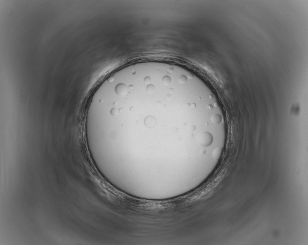 X0000095891405200801110818