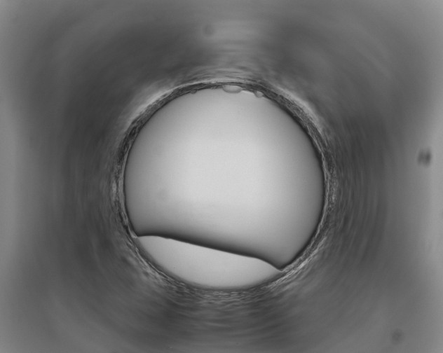 X0000095891407200801110818